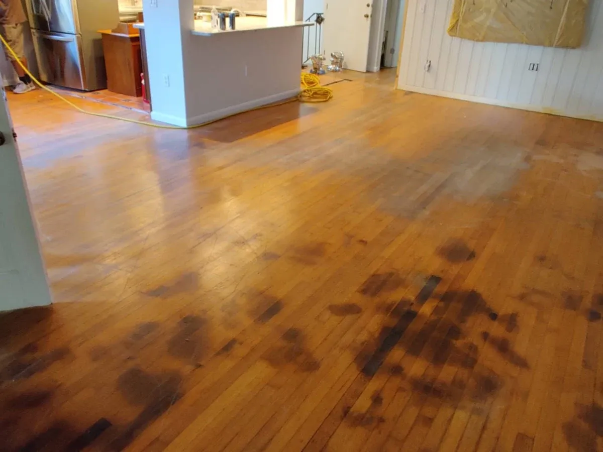 Pet urine and scratch damage on hardwood floors — what it looks like before refinishing in Orlando FL