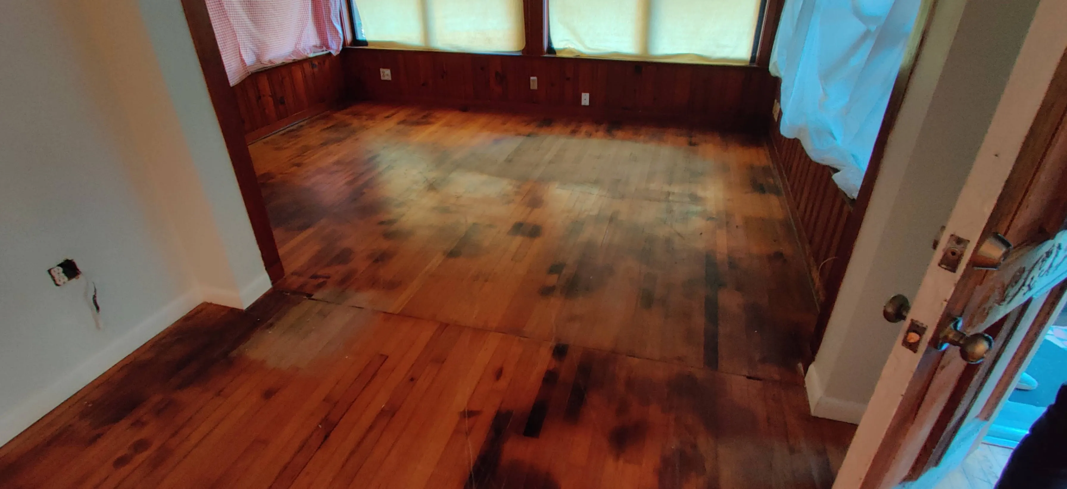 Pet urine black staining on hardwood floor — deep chemical stain in wood fibers, Orlando FL job by 3 Floor Guys
